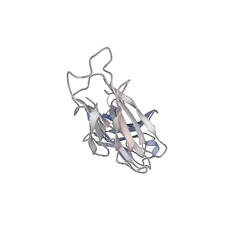 32421_7wcd_G_v1-1
Cryo EM structure of SARS-CoV-2 spike in complex with TAU-2212 mAbs in conformation 4