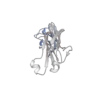 32421_7wcd_I_v1-1
Cryo EM structure of SARS-CoV-2 spike in complex with TAU-2212 mAbs in conformation 4