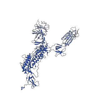 32422_7wch_B_v1-0
CryoEM structure of the SARS-CoV-2 S6P(B.1.617.2) in complex with SWA9 Fab