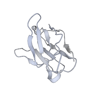 32422_7wch_L_v1-0
CryoEM structure of the SARS-CoV-2 S6P(B.1.617.2) in complex with SWA9 Fab