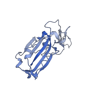 32423_7wck_R_v1-0
Local CryoEM structure of the SARS-CoV-2 S6P(B.1.617.2) in complex with SWA9 Fab