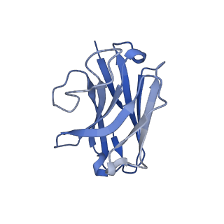 32425_7wcn_N_v1-1
Cryo-EM structure of GPR119-Gs Complex with small molecule agonist AR231453