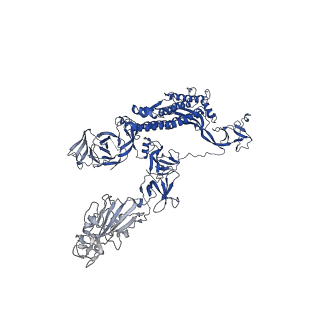 32427_7wcp_B_v1-0
CryoEM structure of the SARS-CoV-2 S6P(B.1.617.2) in complex with SWC11 Fab