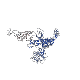 32427_7wcp_C_v1-0
CryoEM structure of the SARS-CoV-2 S6P(B.1.617.2) in complex with SWC11 Fab