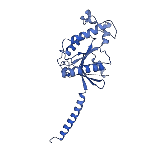 37430_8wc4_A_v1-0
Cryo-EM structure of the ZH8651-bound mTAAR1-Gs complex