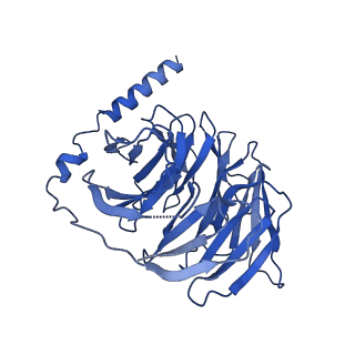 37430_8wc4_B_v1-0
Cryo-EM structure of the ZH8651-bound mTAAR1-Gs complex
