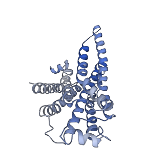 37430_8wc4_R_v1-0
Cryo-EM structure of the ZH8651-bound mTAAR1-Gs complex