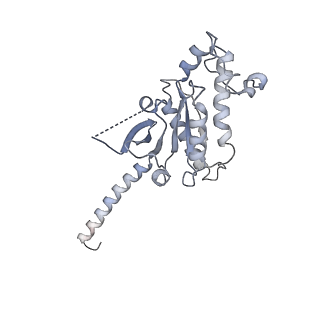 37431_8wc5_A_v1-0
Cryo-EM structure of the TMA-bound mTAAR1-Gs complex