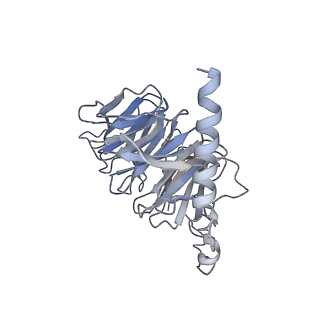 37431_8wc5_B_v1-0
Cryo-EM structure of the TMA-bound mTAAR1-Gs complex