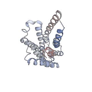 37431_8wc5_R_v1-0
Cryo-EM structure of the TMA-bound mTAAR1-Gs complex