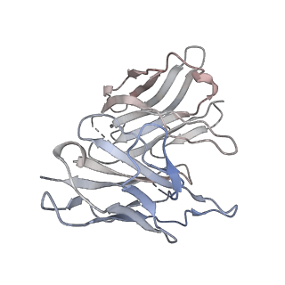37431_8wc5_S_v1-0
Cryo-EM structure of the TMA-bound mTAAR1-Gs complex
