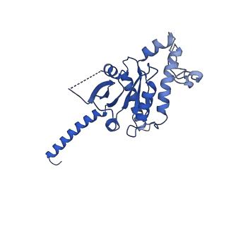 37432_8wc6_A_v1-0
Cryo-EM structure of the PEA-bound mTAAR1-Gs complex