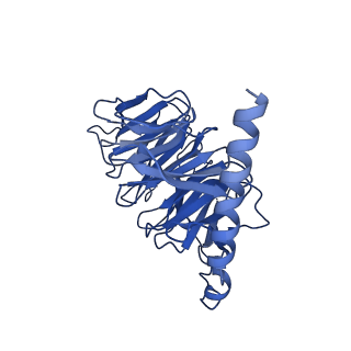 37432_8wc6_B_v1-0
Cryo-EM structure of the PEA-bound mTAAR1-Gs complex