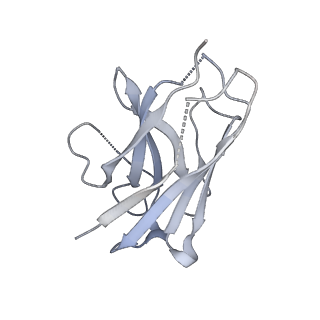 37432_8wc6_N_v1-0
Cryo-EM structure of the PEA-bound mTAAR1-Gs complex