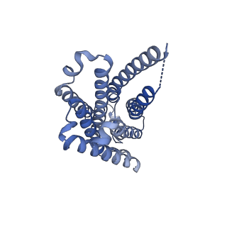 37432_8wc6_R_v1-0
Cryo-EM structure of the PEA-bound mTAAR1-Gs complex
