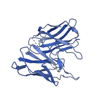 37432_8wc6_S_v1-0
Cryo-EM structure of the PEA-bound mTAAR1-Gs complex