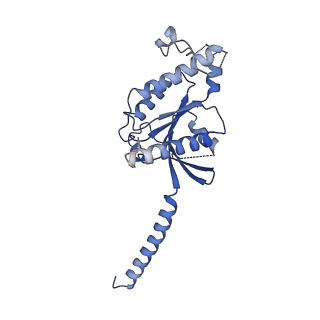 37433_8wc7_A_v1-0
Cryo-EM structure of the ZH8667-bound mTAAR1-Gs complex