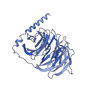 37433_8wc7_B_v1-0
Cryo-EM structure of the ZH8667-bound mTAAR1-Gs complex