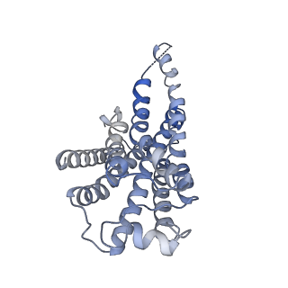37433_8wc7_R_v1-0
Cryo-EM structure of the ZH8667-bound mTAAR1-Gs complex