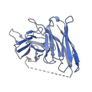 37433_8wc7_S_v1-0
Cryo-EM structure of the ZH8667-bound mTAAR1-Gs complex
