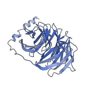 37434_8wc8_B_v1-0
Cryo-EM structure of the ZH8651-bound hTAAR1-Gs complex