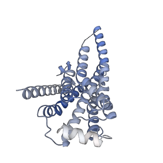 37434_8wc8_R_v1-0
Cryo-EM structure of the ZH8651-bound hTAAR1-Gs complex
