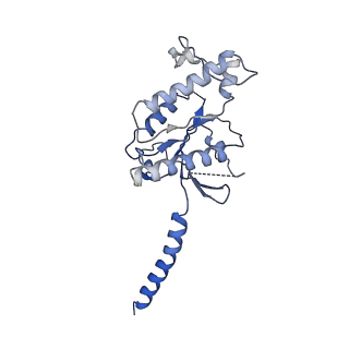 37435_8wc9_A_v1-0
Cryo-EM structure of the ZH8651-bound mTAAR1-Gq complex