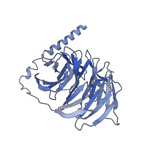 37435_8wc9_B_v1-0
Cryo-EM structure of the ZH8651-bound mTAAR1-Gq complex