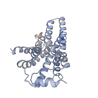 37435_8wc9_R_v1-0
Cryo-EM structure of the ZH8651-bound mTAAR1-Gq complex