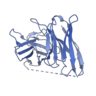 37435_8wc9_S_v1-0
Cryo-EM structure of the ZH8651-bound mTAAR1-Gq complex