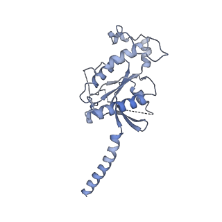 37437_8wcb_A_v1-0
Cryo-EM structure of the CHA-bound mTAAR1-Gq complex