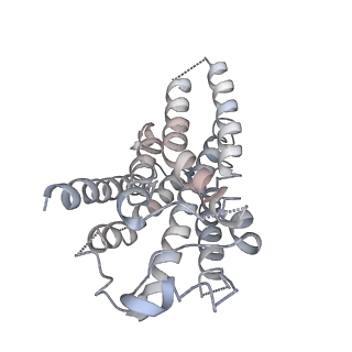 37437_8wcb_R_v1-0
Cryo-EM structure of the CHA-bound mTAAR1-Gq complex