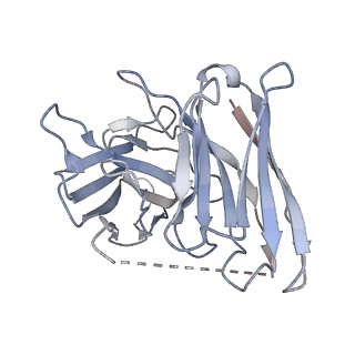 37437_8wcb_S_v1-0
Cryo-EM structure of the CHA-bound mTAAR1-Gq complex