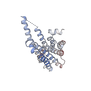 37438_8wcc_R_v1-0
Cryo-EM structure of the CHA-bound mTAAR1 complex