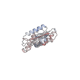 37444_8wcn_A_v1-0
Cryo-EM structure of PAO1-ImcA with GMPCPP