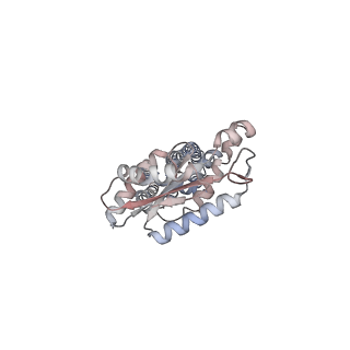 37444_8wcn_B_v1-0
Cryo-EM structure of PAO1-ImcA with GMPCPP