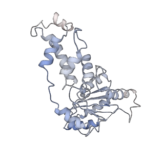 8794_5wc0_A_v1-4
katanin hexamer in spiral conformation