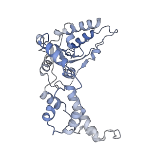 8794_5wc0_D_v1-4
katanin hexamer in spiral conformation