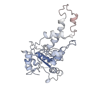 8794_5wc0_F_v1-3
katanin hexamer in spiral conformation