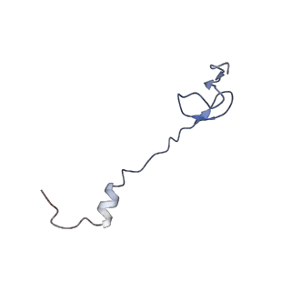 21619_6wd0_B_v1-2
Cryo-EM of elongating ribosome with EF-Tu*GTP elucidates tRNA proofreading (Cognate Structure I-A)