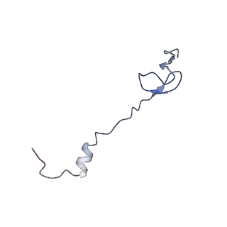 21619_6wd0_B_v1-3
Cryo-EM of elongating ribosome with EF-Tu*GTP elucidates tRNA proofreading (Cognate Structure I-A)