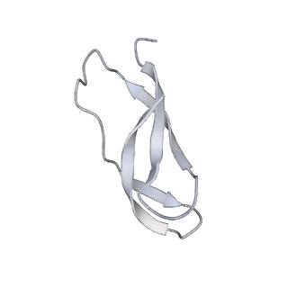 21619_6wd0_C_v1-3
Cryo-EM of elongating ribosome with EF-Tu*GTP elucidates tRNA proofreading (Cognate Structure I-A)