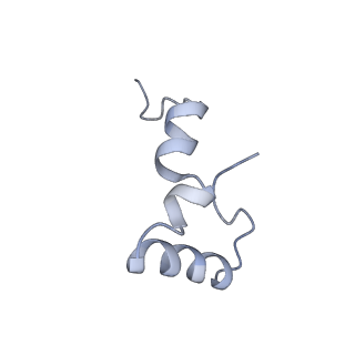 21619_6wd0_D_v1-2
Cryo-EM of elongating ribosome with EF-Tu*GTP elucidates tRNA proofreading (Cognate Structure I-A)