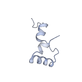 21619_6wd0_D_v1-3
Cryo-EM of elongating ribosome with EF-Tu*GTP elucidates tRNA proofreading (Cognate Structure I-A)