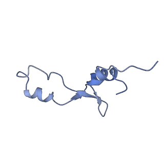 21619_6wd0_E_v1-2
Cryo-EM of elongating ribosome with EF-Tu*GTP elucidates tRNA proofreading (Cognate Structure I-A)