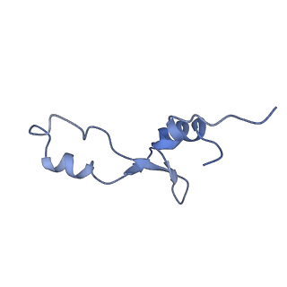 21619_6wd0_E_v1-3
Cryo-EM of elongating ribosome with EF-Tu*GTP elucidates tRNA proofreading (Cognate Structure I-A)