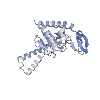 21619_6wd0_G_v1-2
Cryo-EM of elongating ribosome with EF-Tu*GTP elucidates tRNA proofreading (Cognate Structure I-A)