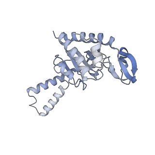 21619_6wd0_G_v1-3
Cryo-EM of elongating ribosome with EF-Tu*GTP elucidates tRNA proofreading (Cognate Structure I-A)