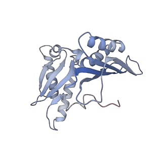 21619_6wd0_H_v1-2
Cryo-EM of elongating ribosome with EF-Tu*GTP elucidates tRNA proofreading (Cognate Structure I-A)
