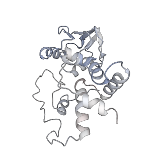 21619_6wd0_I_v1-3
Cryo-EM of elongating ribosome with EF-Tu*GTP elucidates tRNA proofreading (Cognate Structure I-A)